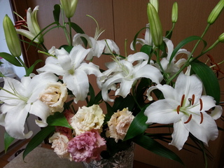 2014-06-29 10.04.05.jpg