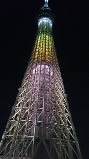 DSC_0765.JPG